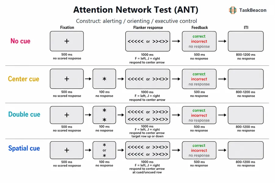 Attention Network Test (ANT) flow diagram