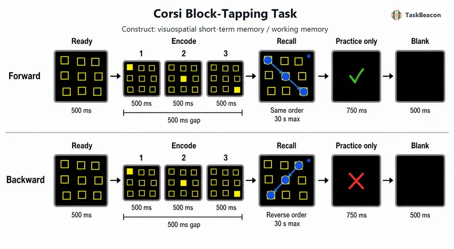 Corsi Block-Tapping Task flow diagram